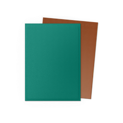 Dragon Shield: Standard 100ct Sleeves - Power and Copper