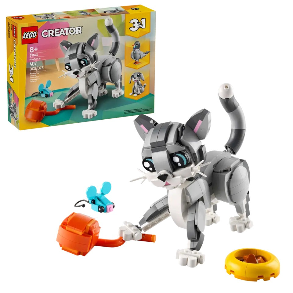 Playful Cat