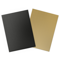 Dragon Shield: Standard 100ct Sleeves - Black and Gold