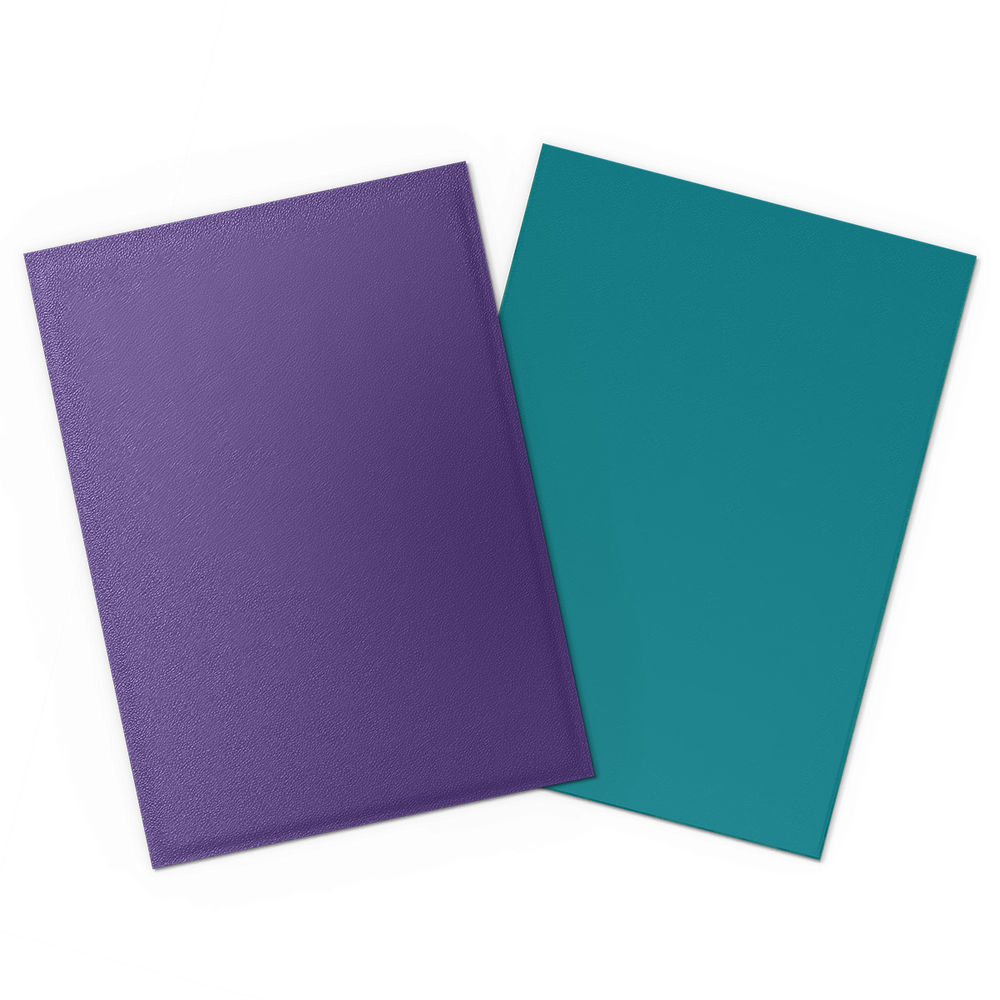 Dragon Shield: Standard 100ct Sleeves - Soul and Petrol