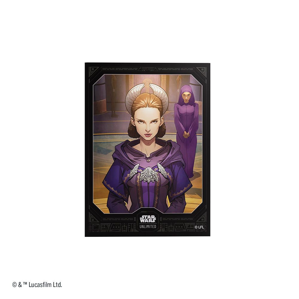 Padme Amidala Art Sleeves